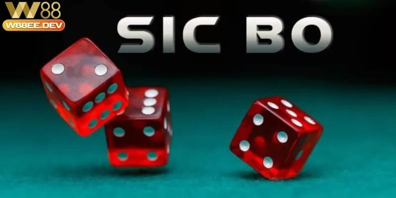 Cách Chơi Sicbo W88 - Hướng Dẫn Chi Tiết Cho Người Mới 2025 3 Các bước cơ bản về cách chơi Sicbo W88